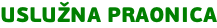 USLUŽNA PRAONICA